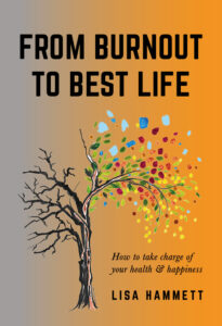 From Burnout to Best Life Book Cover by Lisa Hammett