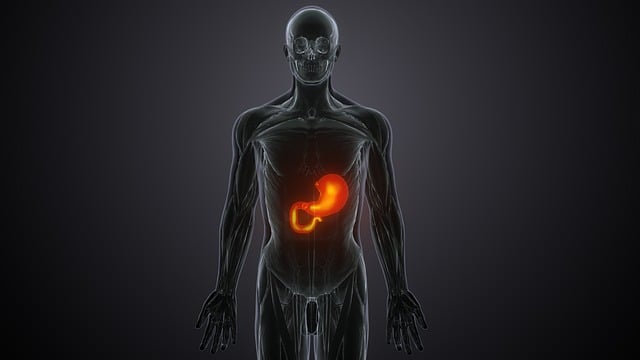 how inlamation affects the stomach or gut